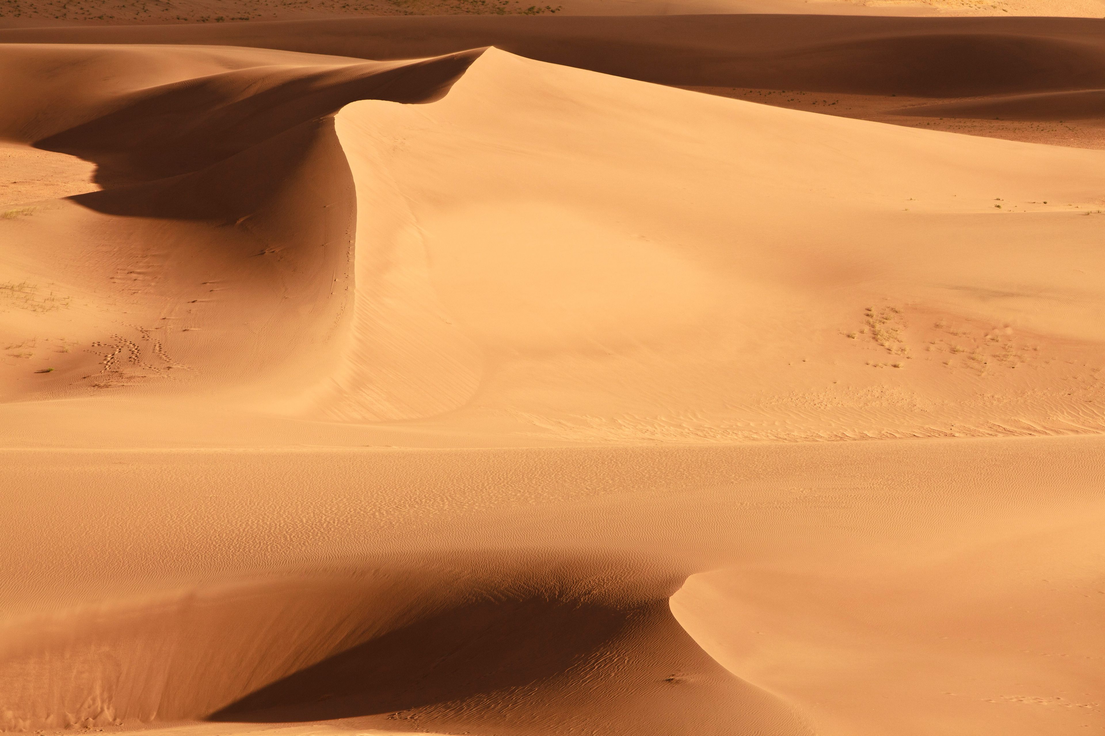 Sand dunes in Colorado.  
