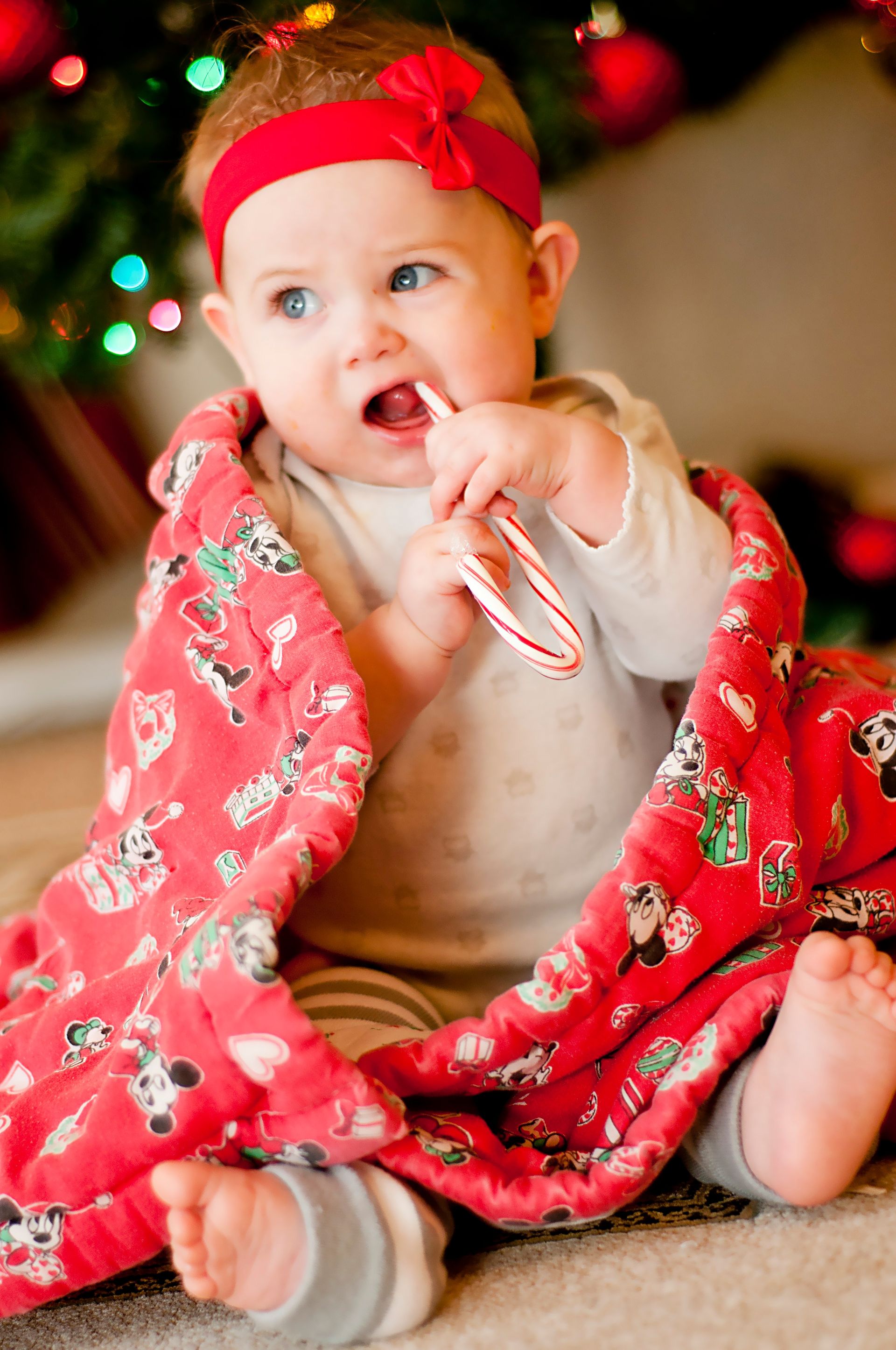 A baby girl eating a candy cane at Christmas.