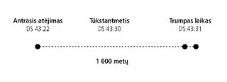 1000 metų diagrama