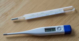 termometer mulut