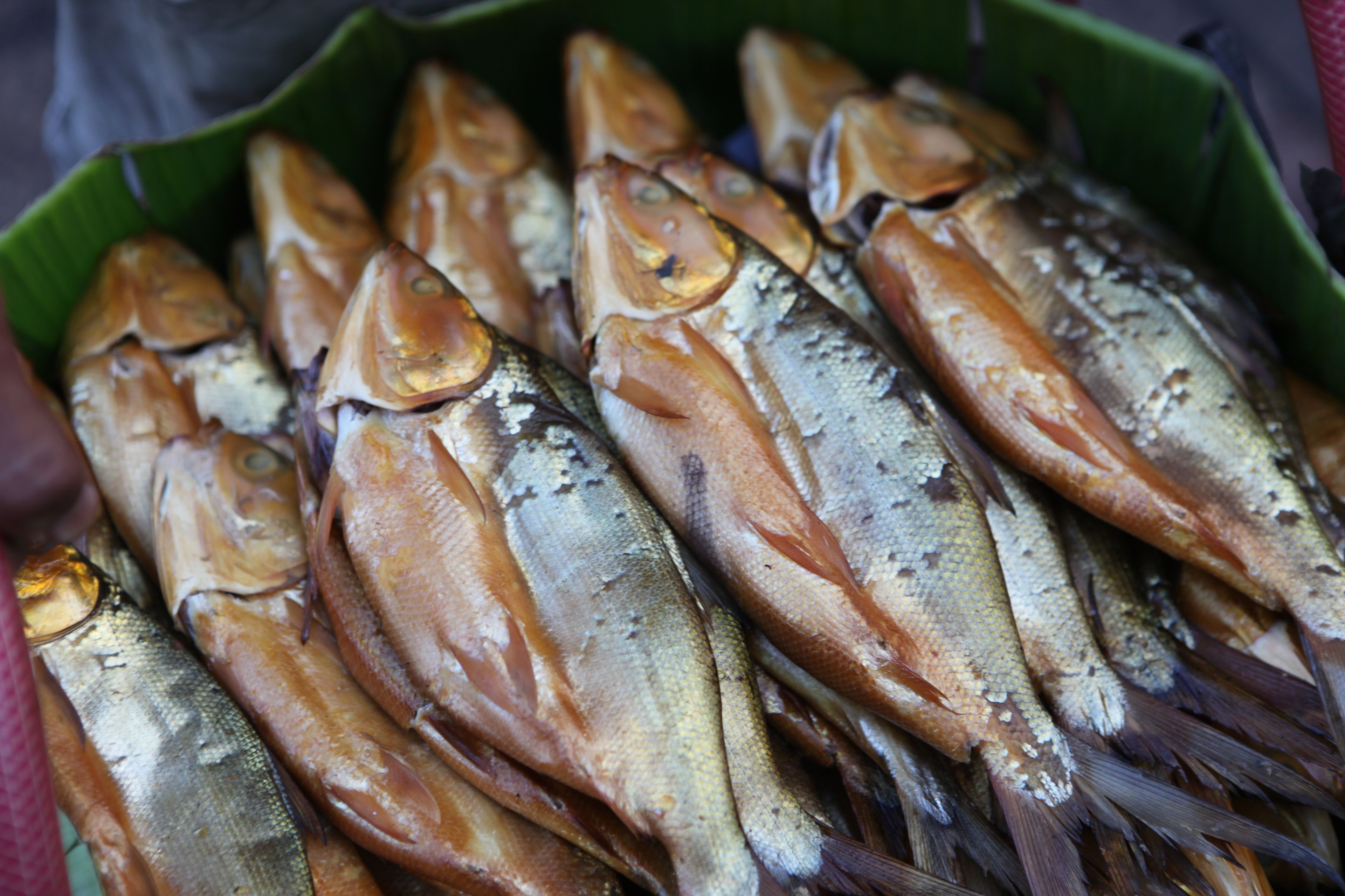 Fish from an outdoor market in the Philippines.