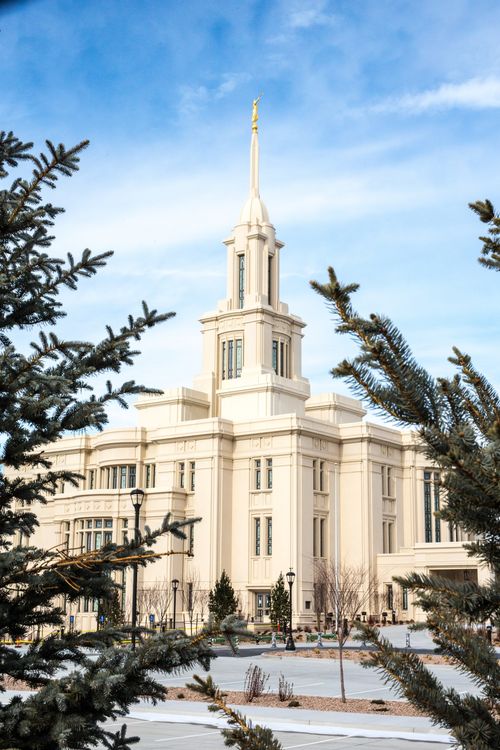 The side of the Payson Utah Temple seen through tree branches during the day.