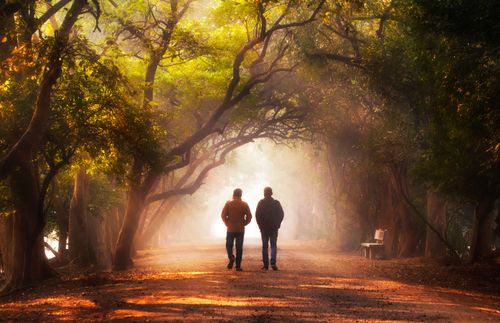 photo of two men walking on a tree-covered path