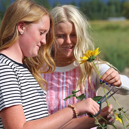 girls and sunflowers