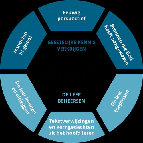 Schema training in kerkleerbeheersing