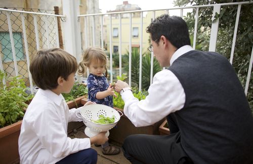 picking herbs