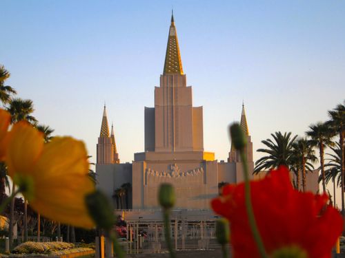 The front of the Oakland California Temple seen at sunset, between rows of red and yellow flowers growing on the temple grounds.