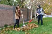 young women raking leaves