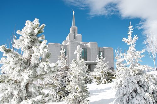 The Calgary Alberta Temple covered in snow in the wintertime, with large white trees in the foreground.