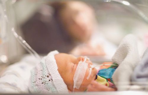 premature infant sleeping in incubator