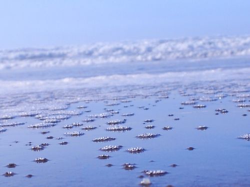 Small clusters of bubbles in the water and an approaching wave along the Oregon Coast.