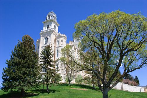 A side view of the Manti Utah Temple, seen through trees, set on top of a green grassy hill.