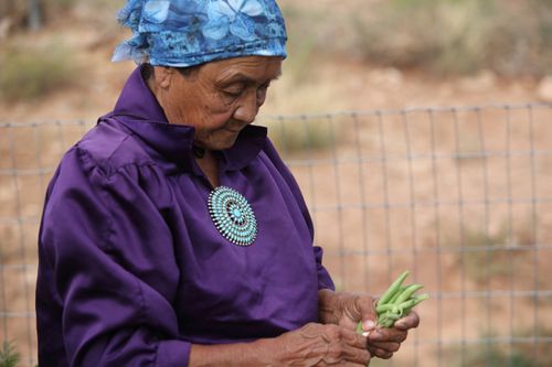 An Indian woman in a purple blouse and blue head wrap, standing outside and holding green beans.