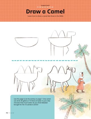 step-by-step camel drawing instructions