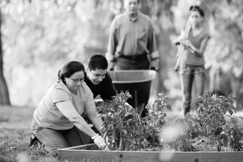 family planting