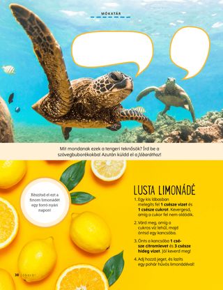 Kép teknősökről és citromokról