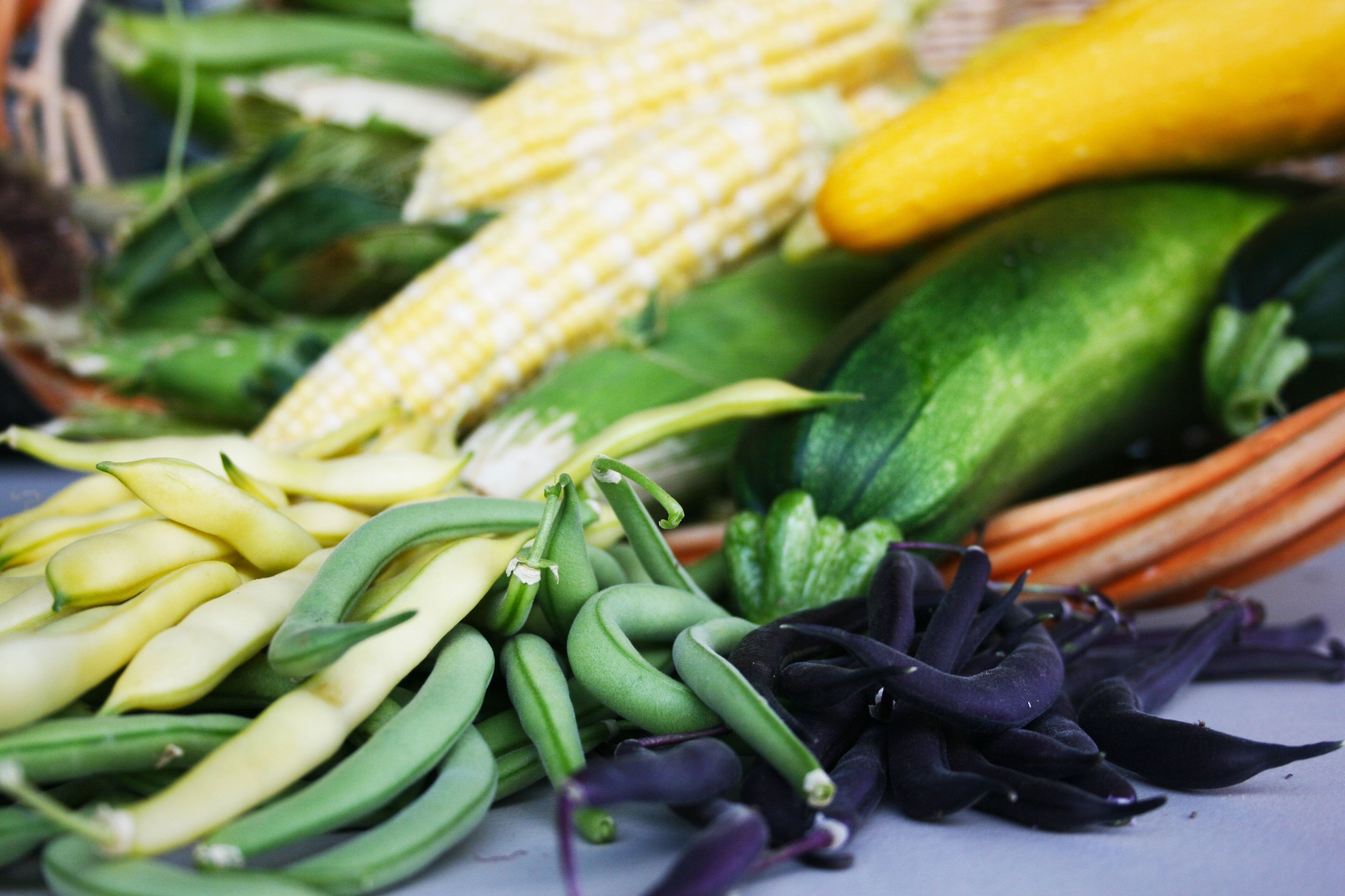 A mix of peas, corn, squash, and other vegetables.