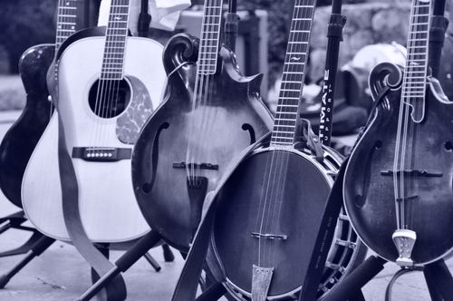 Musical instruments (guitars and banjos) in a row.