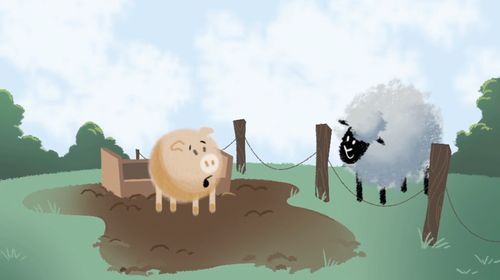 pig and sheep