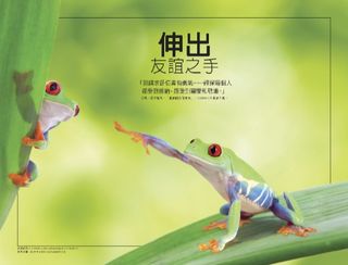 One frog reaching out to another