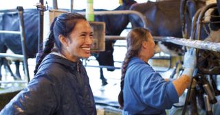 a young adult working at a dairy