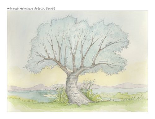 L’arbre généalogique de Jacob