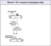 Мозая 7–24-т өгүүлсэн аялалууд