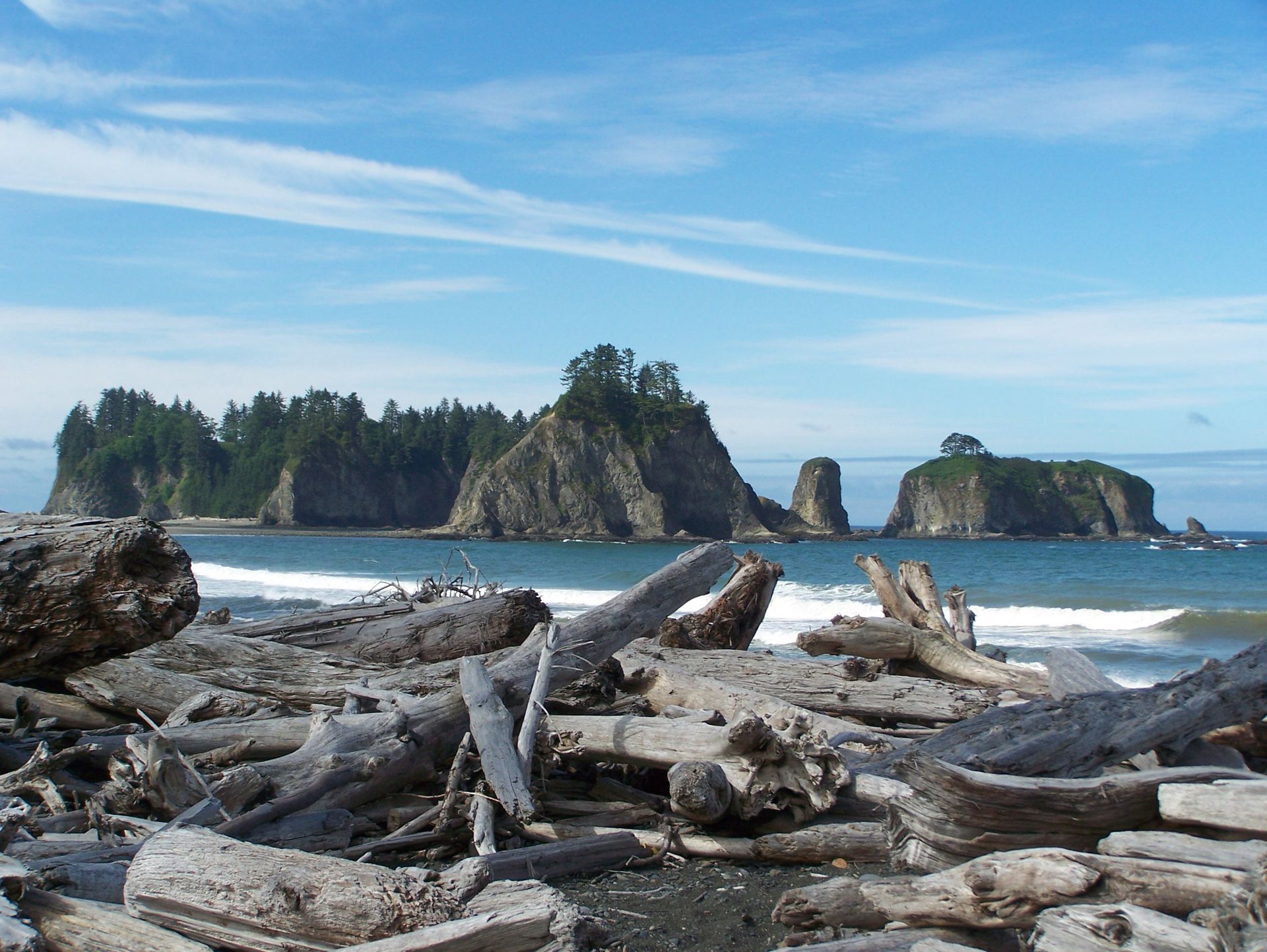 Driftwood on the shore at Olympic National Park.