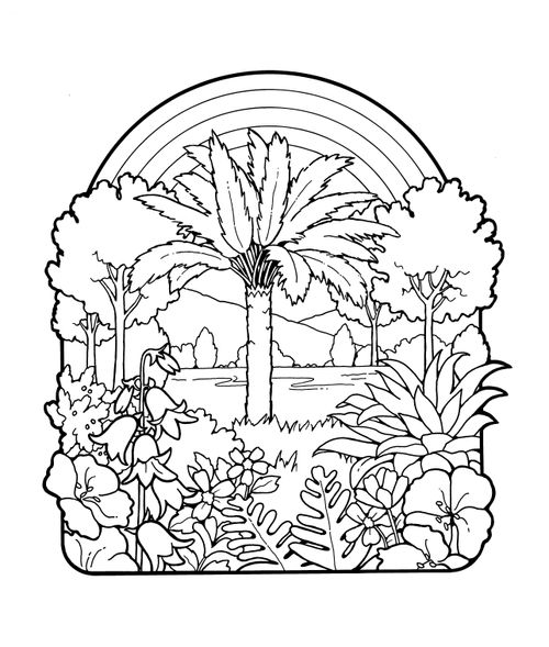 A black-and-white illustration of a palm tree with other trees, plants, shrubs, and flowers around it and a rainbow in the background.