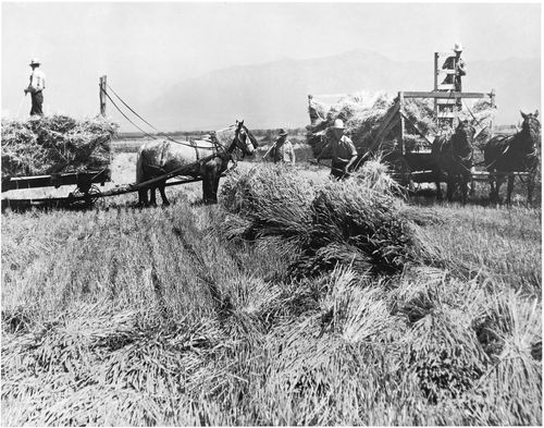 men working in field