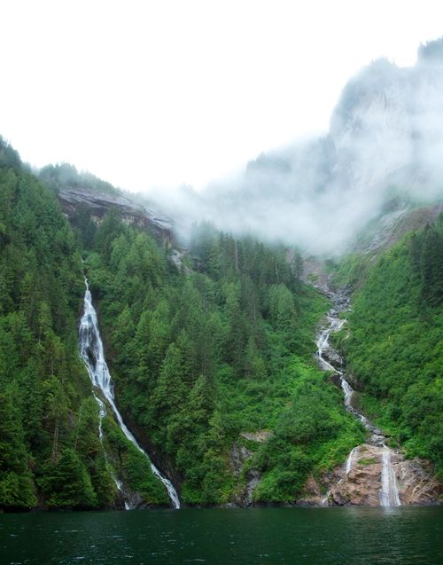 Fjords in Alaska with fog and waterfalls lined with green trees.