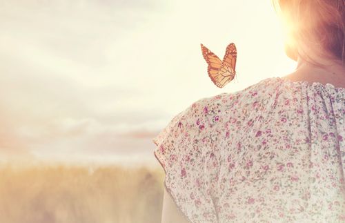 照片：蝴蝶停在一位婦女的肩上