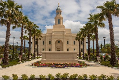 Palm trees and other landscaping surround the Concepción Chile Temple.