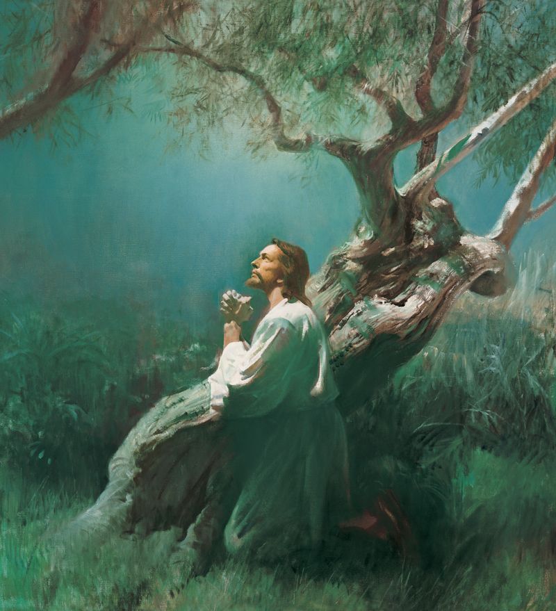 Christ in a white robe, kneeling near a large olive tree, with hands clasped, looking upward.