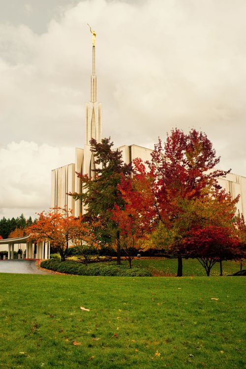 A partial view of the Seattle Washington Temple, with trees changing colors on the grounds. The spire rises above the trees.