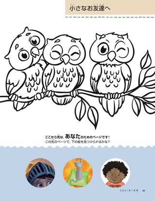coloring page of owls