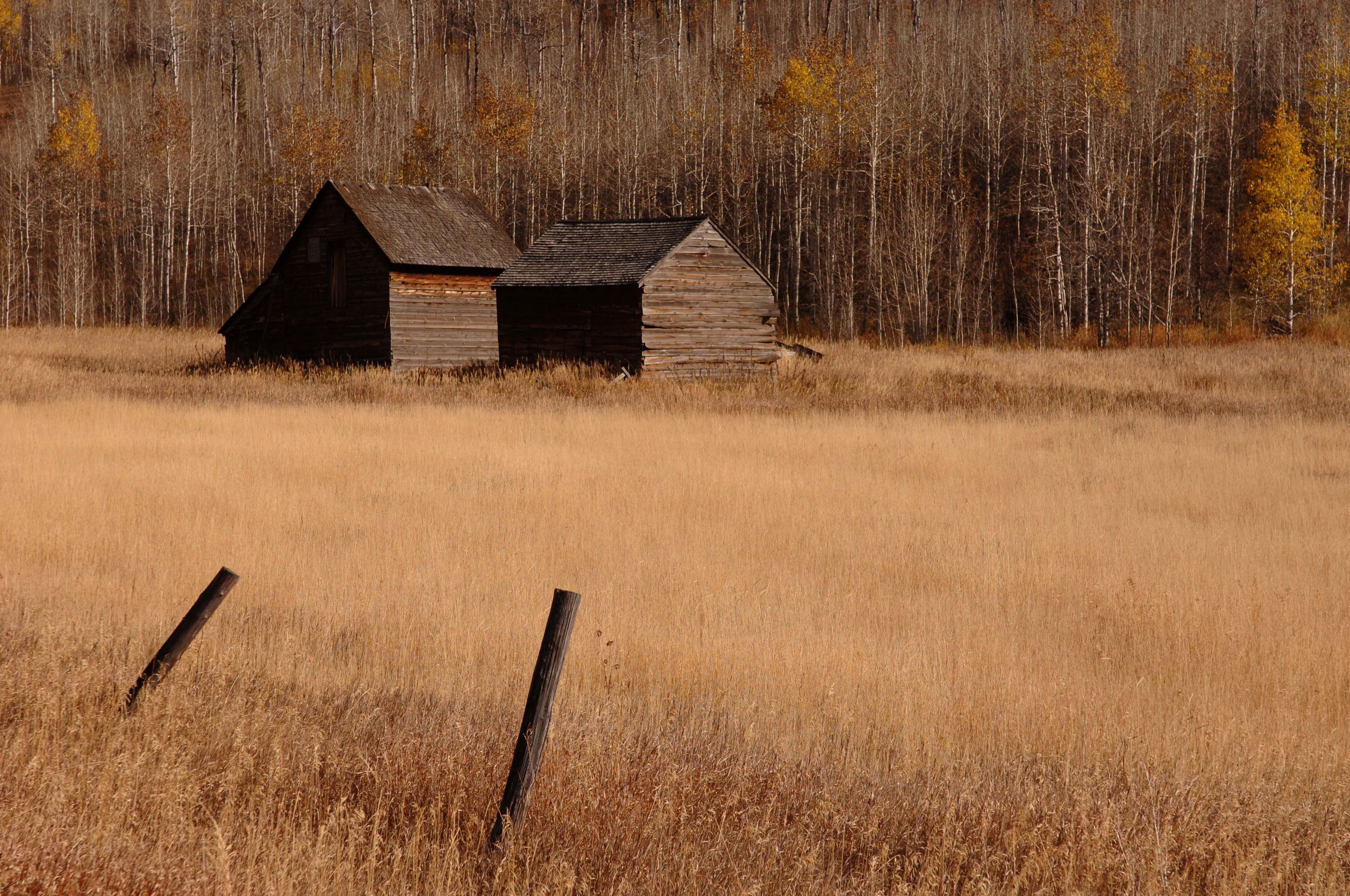 Two cabins in a field, with trees with sparse yellow leaves in the background and two fence posts in the foreground.