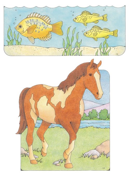 Primary cutouts of three yellow fish swimming in water and a brown horse with cream-colored spots walking on grass near rocks and a river.