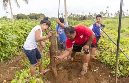 Fanguna family planting yams