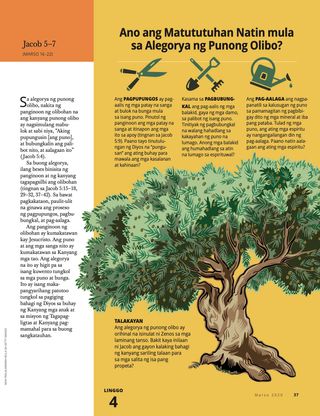 What Can We Learn from the Allegory of the Olive Tree