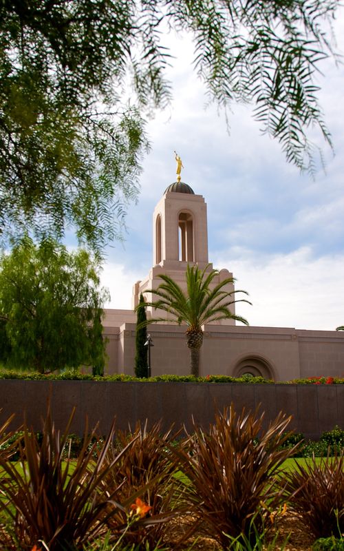 A partial view of the Newport Beach California Temple, with the spire seen over the surrounding vegetation, including palm trees.