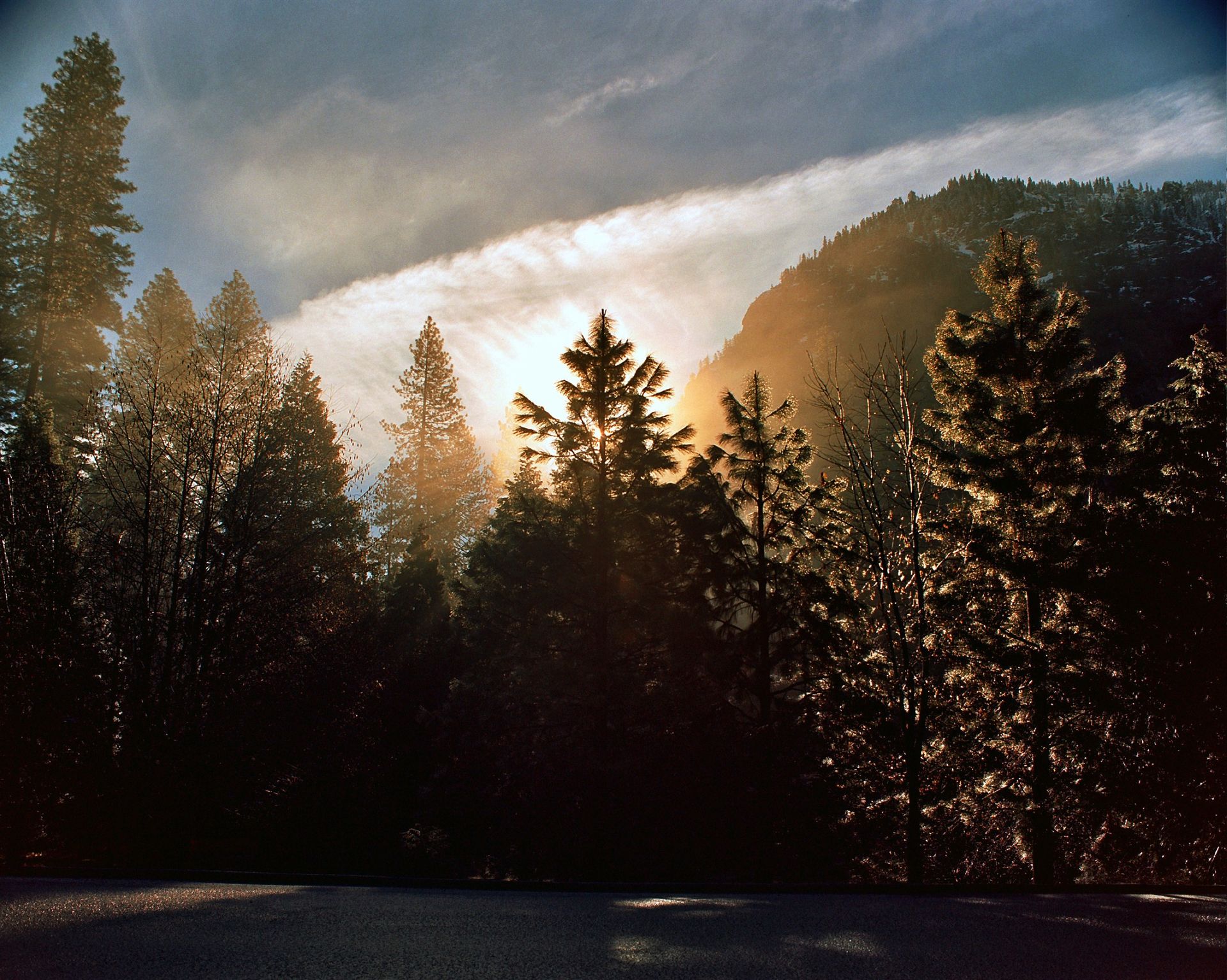 The sun peeks out from behind large pine trees at Yosemite.