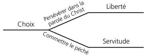 schéma, choix et conséquences