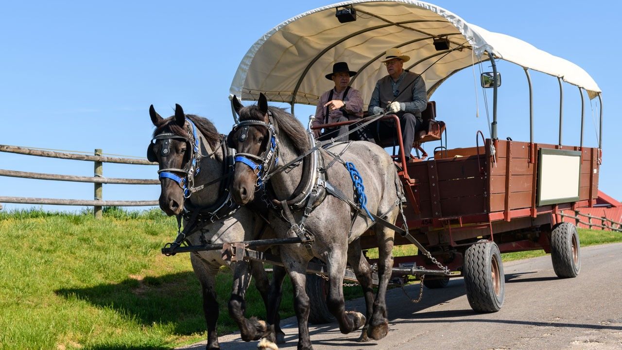 Two horses pulling a wagon with two men directing them.