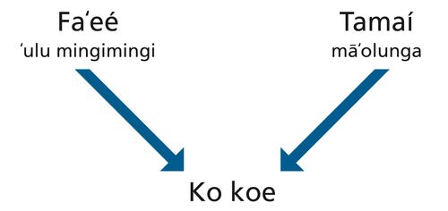 fakatātā, ongomātuʻá, ngaahi ʻulungāngá, mo koe