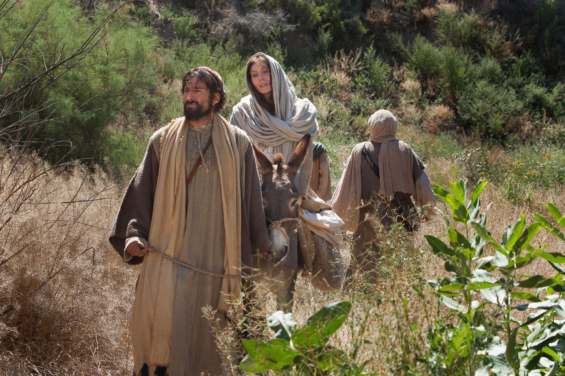 Mary and Joseph travel toward Bethlehem.