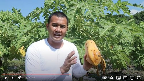 video still of man teaching about growing food