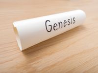 Genesis scroll