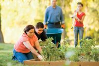 A family working in a garden.