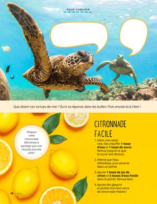 Photo de tortues et photo de citrons